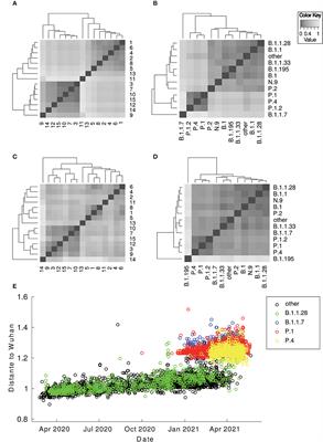 Genomic landscape of the SARS-CoV-2 pandemic in Brazil suggests an external P.1 variant origin
